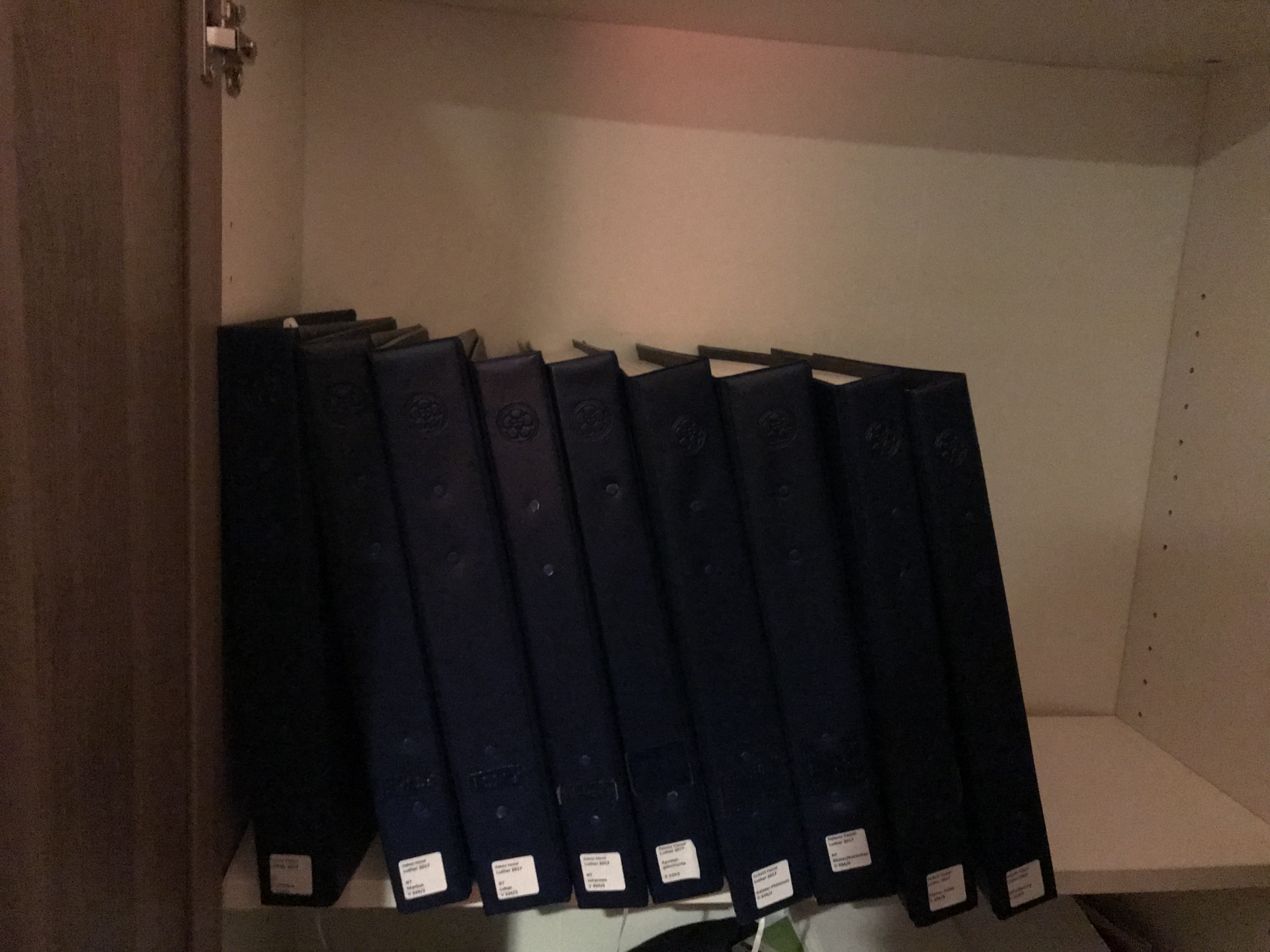 Blindenschriftbücher stehen im Regal.